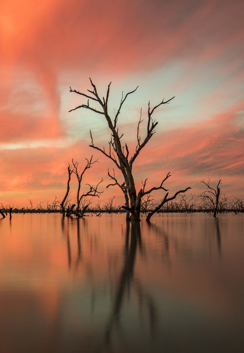 Sunset over Lake with bare trees silhouetted