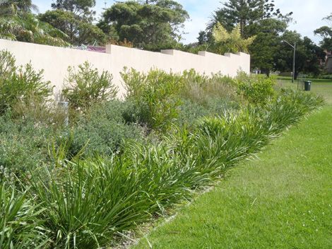 Wall with layers of plants in front