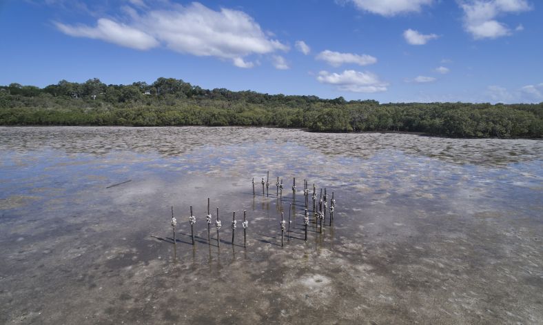 Aerial view of Kinyingarra Guwinyanba by Megan Cope