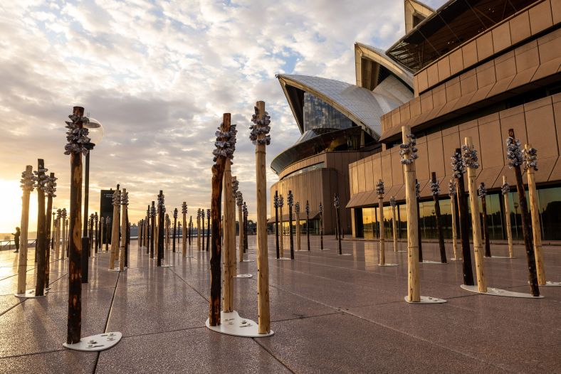 Whispers Megan Cope Sydney Opera House Credit Daniel Boud