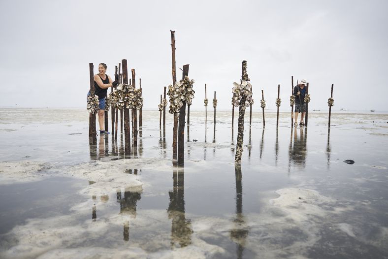 Megan Cope, artist planting timber poles