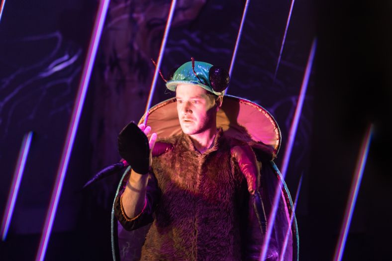 An actor in a Christmas beetle costume, surrounded by lights