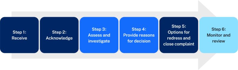 An illustration of the NESA complaint management process in 6 steps