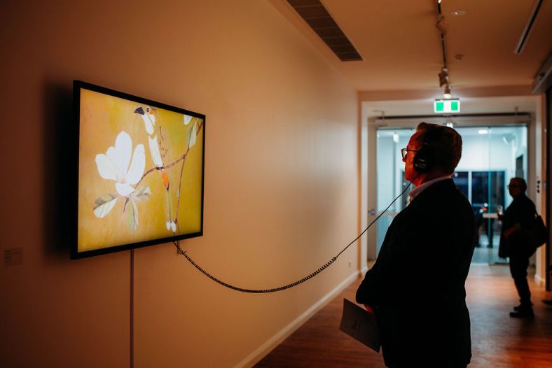 A visitor to Lismore Regional Gallery standing in front of an interactive artwork