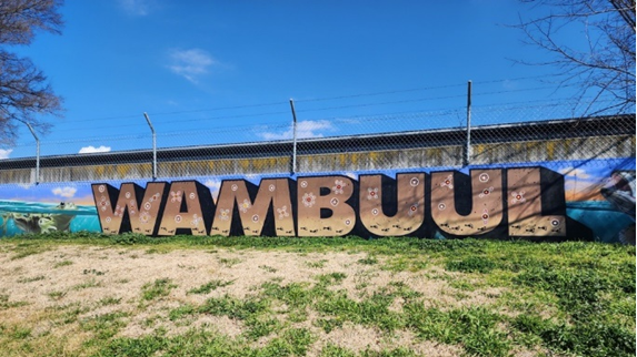 a mural with the word Wambuul on a wall