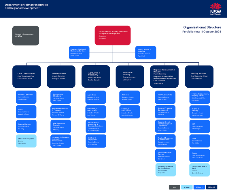 A hierarchical chart of red, navy, royal blue and pale blue squares showing the structure of an organisation