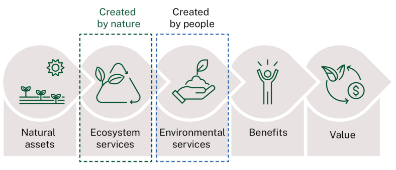 5 concepts of natural capital including natural assets, ecosystem services (created by nature), environmental services (created by people), benefits and value. 