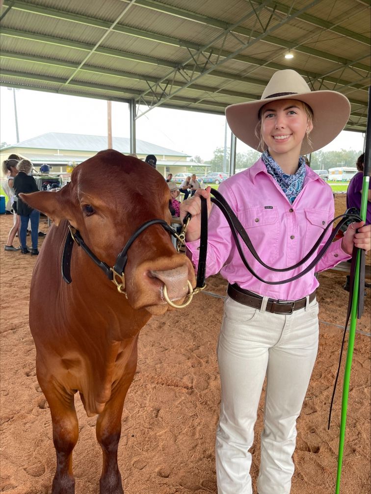 Young woman in pink shirt standing next to cow