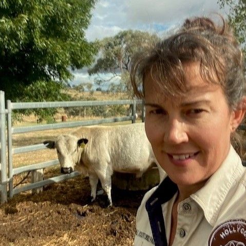 Woman standing in a cow pen with cow in background