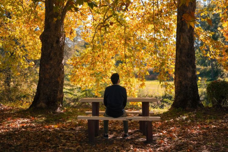 Neilson Park, Coonabarabran