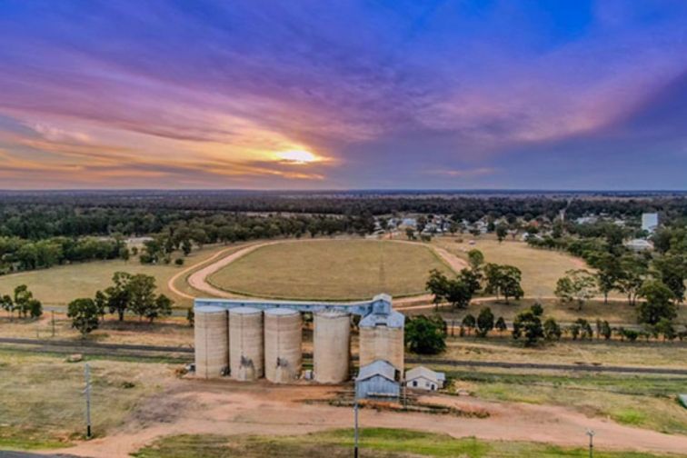 Gilgandra silos 