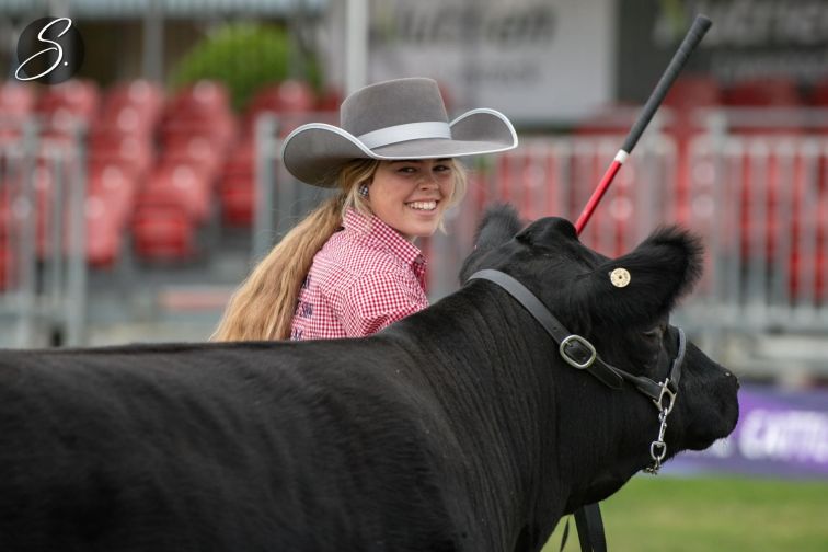 Young woman with black cow