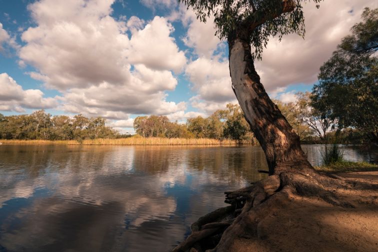 Bogan River, Nyngan