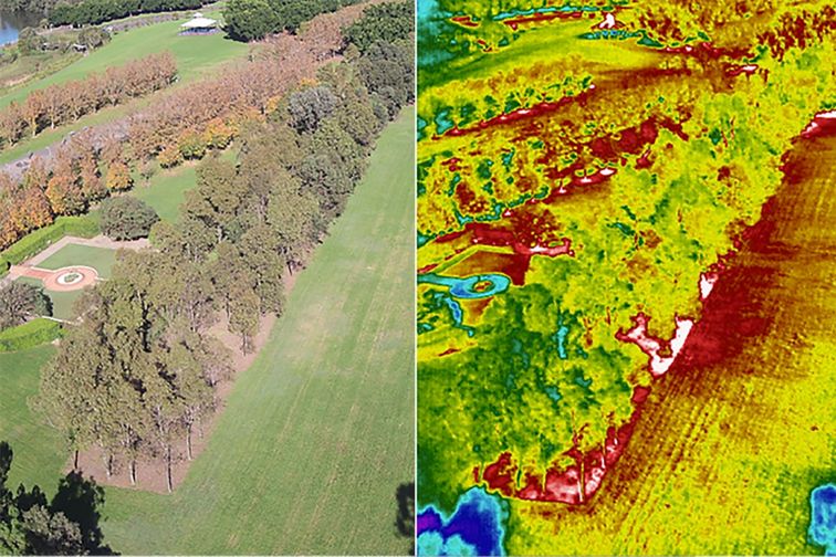 An infrared map shows heating across an area of Sydney Olympic Park.