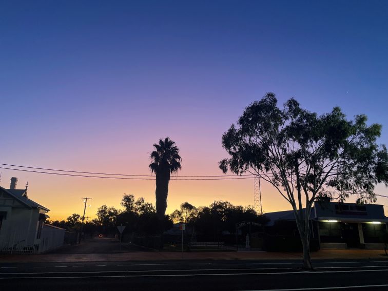 sunset with trees in foreground