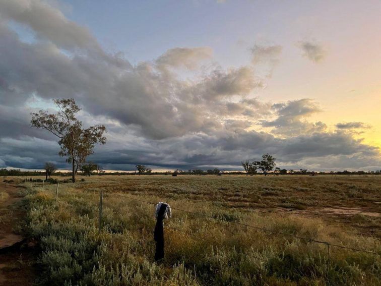 sunset over a property at collarenebri