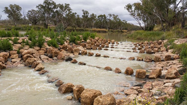 Brewarrina fish trap rock levels