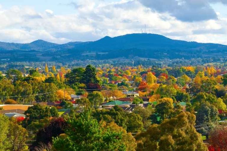 view of the city of Orange over the treetops looking south west 