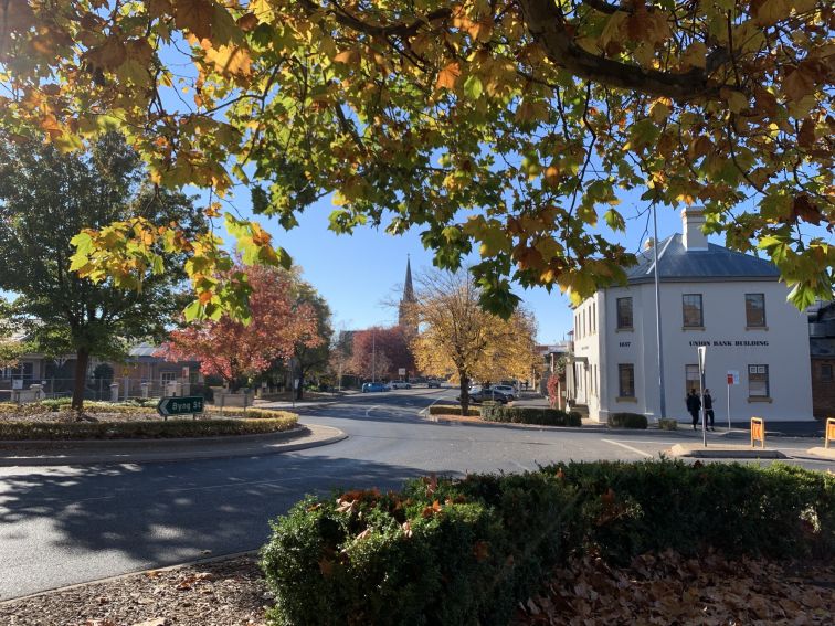 looking down Byng street in the autumn trees of Orange