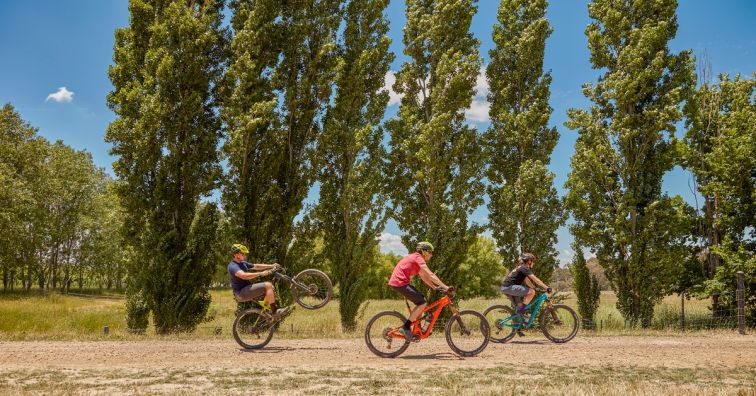 bicycle riders and along a set of poplar trees in Orange