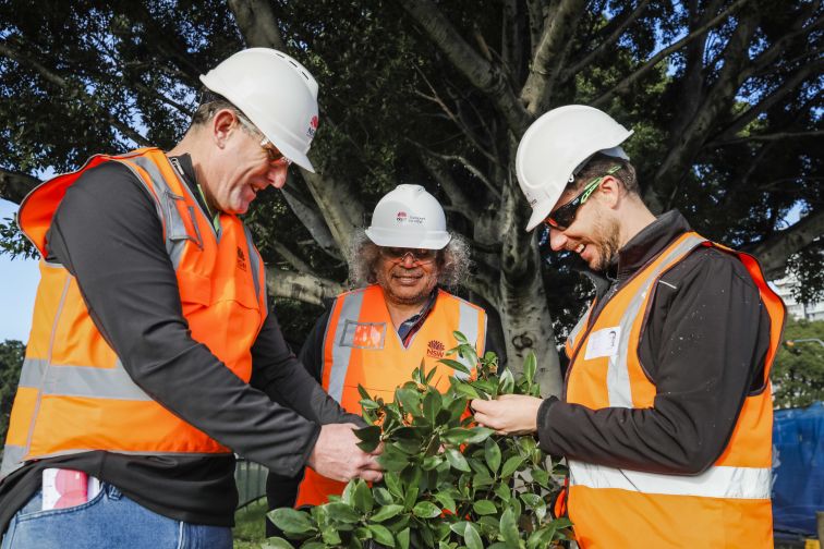 Workers wearing high-visibility clothing are conducting an environmental analysis along Parramatta Light Rail route. 