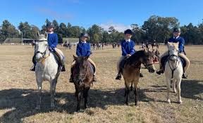 Condo pony club