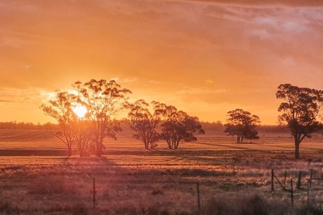 Suset over farm at Tullamore NSW