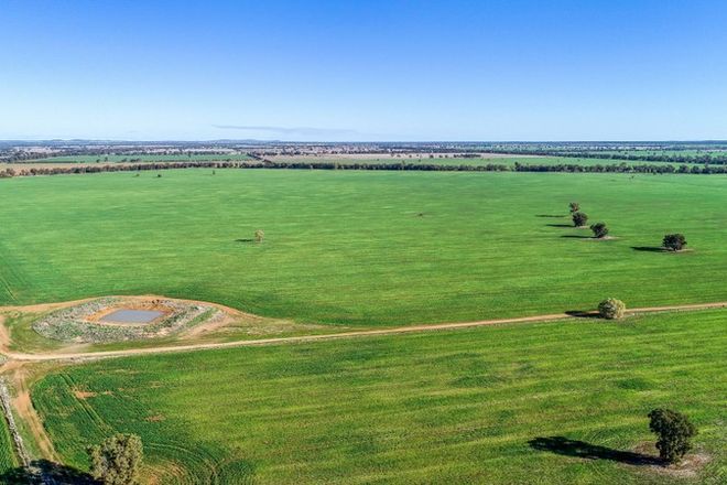 Green paddocks arial view at Tullmore NSW