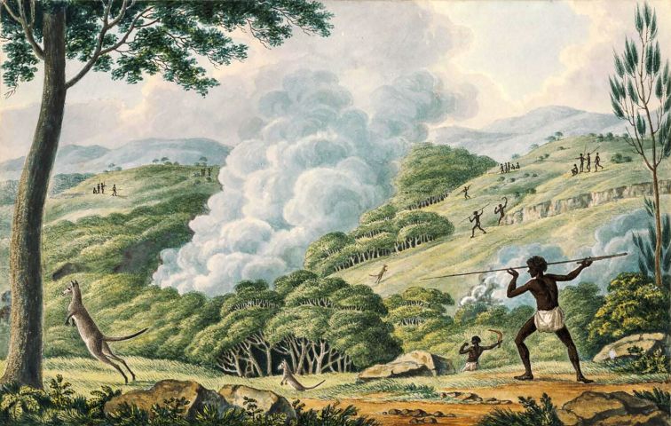 A communal kangaroo hunt in the 1810s.