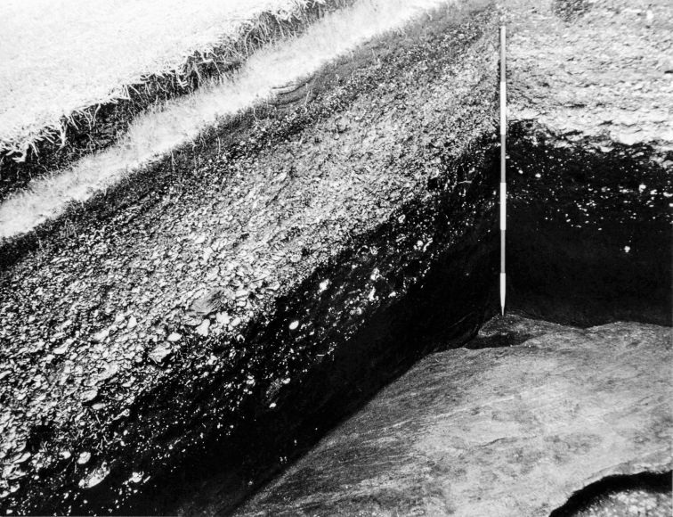 Two thousand years of Aboriginal coastal economy in a midden at Kurnell, an area that continued to be used long after the arrival of Europeans.