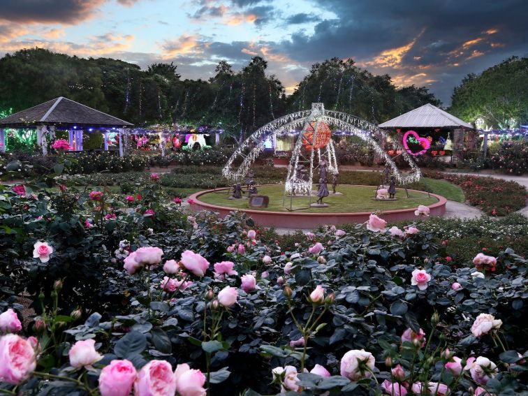 Rose Garden. Hunter Valley Gardens. Christmas Lights Spectacular.