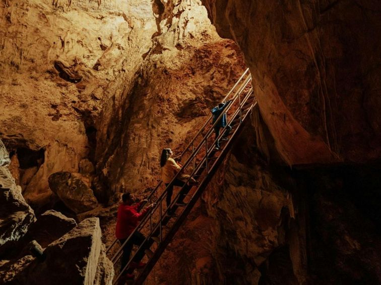 Visitors climb a staircase in Wollondilly Cave. Credit: Remy Brand/DPE &copy; Remy Brand