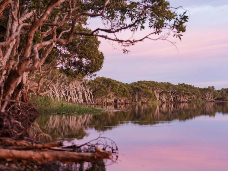 Pretty pink dusk at lake