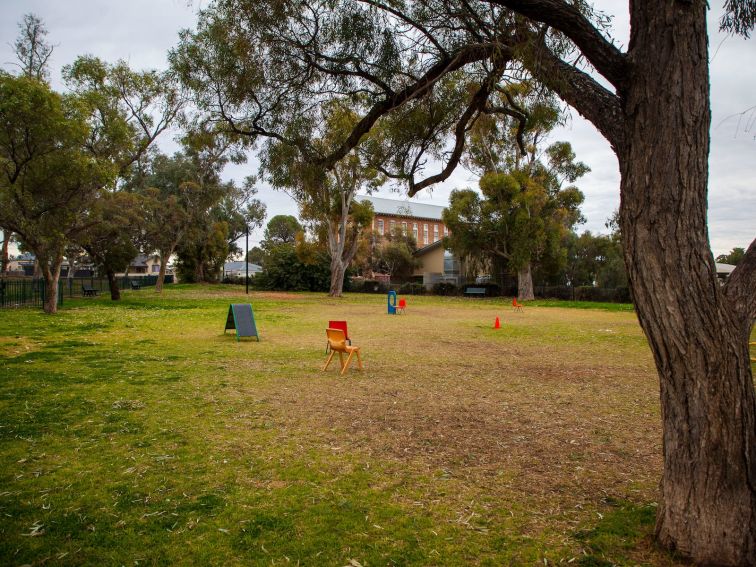 Queen Elizabeth Park (Dog Park)