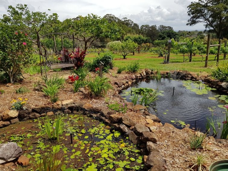 Pond Gardens