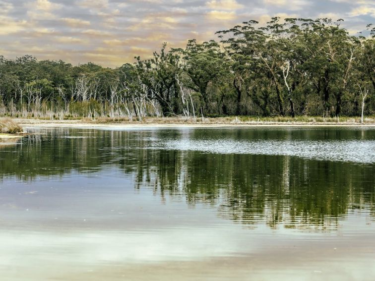 Durras Lake