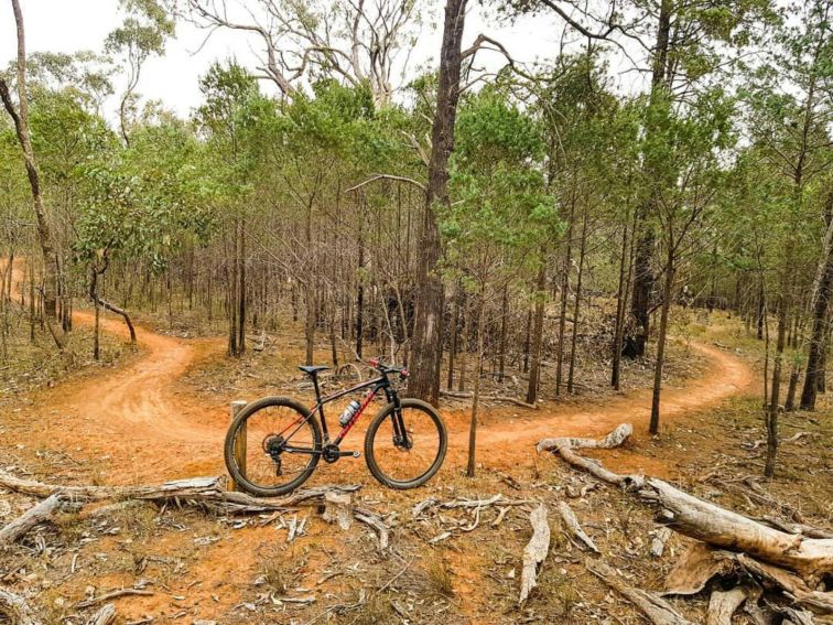 Bushland with with trees and a dirt track winding through. A bike in parked on the track.