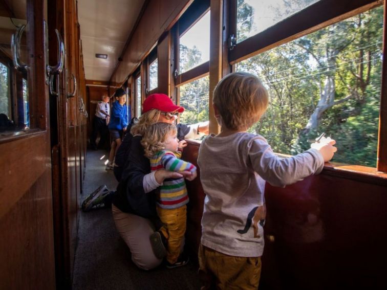 Family on train