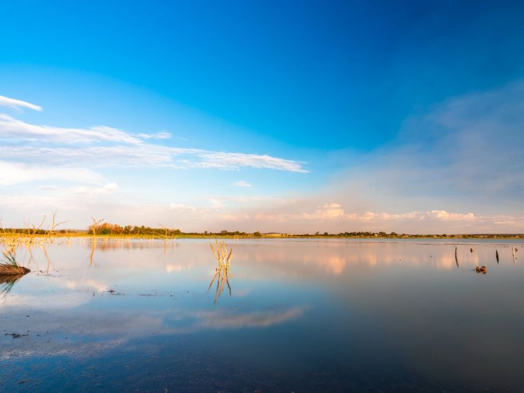 Lake Wyangan | NSW Government