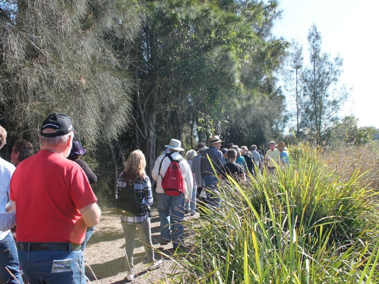 Walkway  around the bird hide