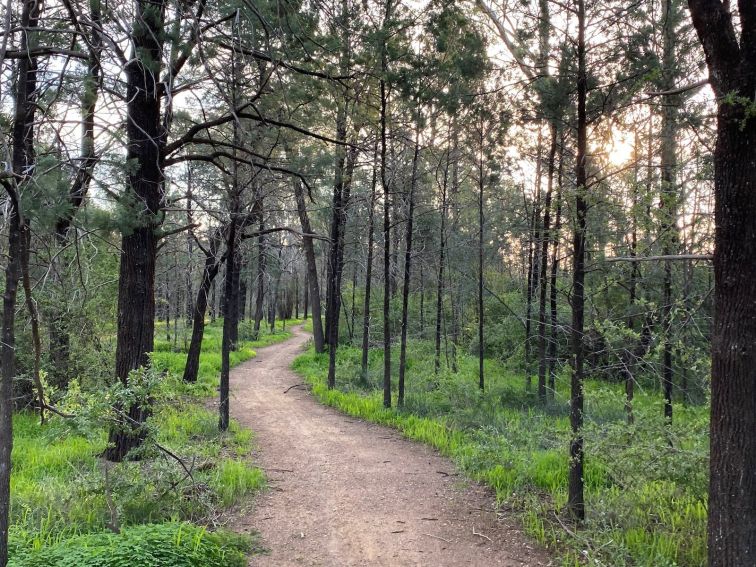 Bikes, Walking, Trails, Tracks