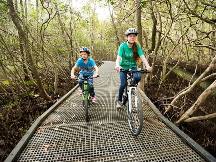 Coffs Creek loop