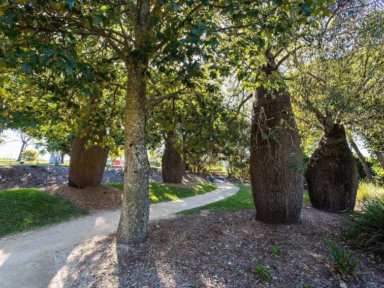 Bottle Trees