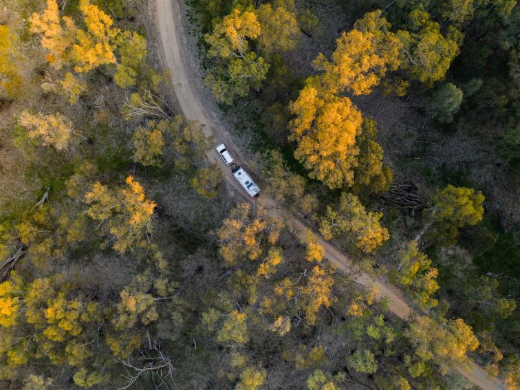 Murrumbidgee, Riverina, Darlington Point