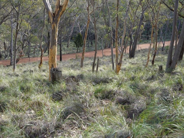 jerrabomberra mountain