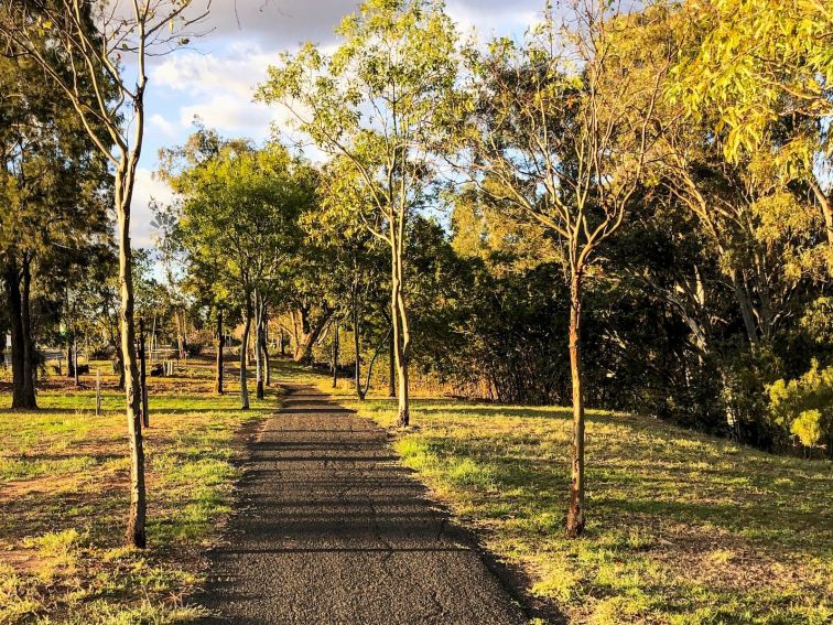 Windmill Walk Gilgandra