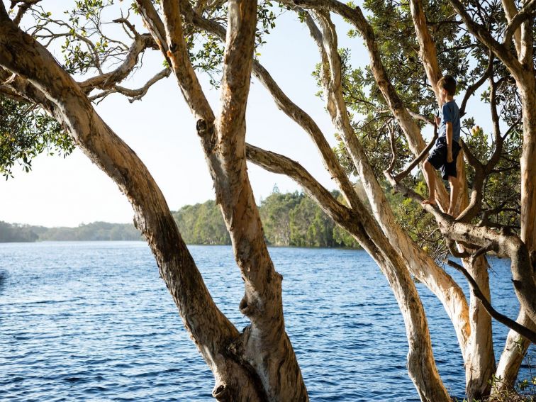 Fresh water lake at lennox head