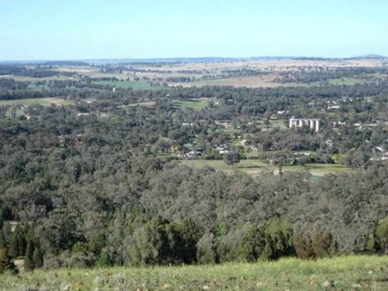 Bald Hill Geurie