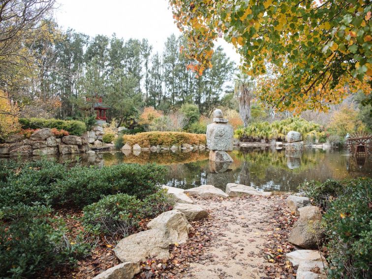 Chinese Garden Pond