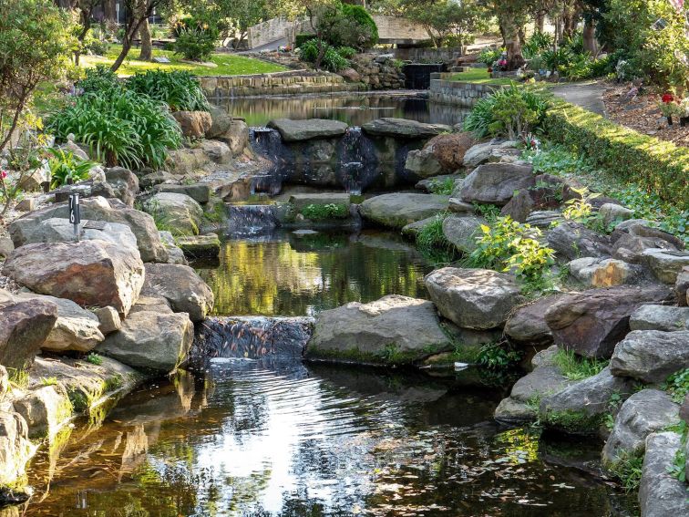 beautiful walking area with water running through the middle and surrounded by plants